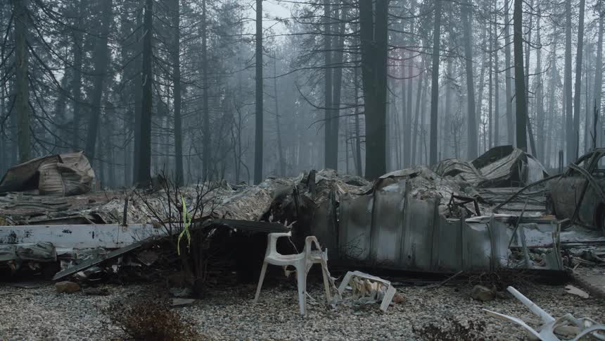Debris and a ruined car are scattered among the ruins of a fire near a puddle as smoke fills the air among the trees in the woods