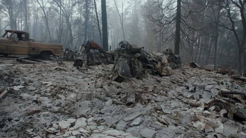 Burned debris and property after a fire at a home in the forest in the daytime