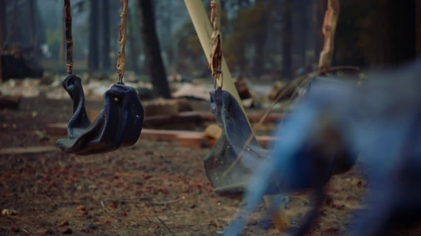 Melted swings sway with conifer trees in the background