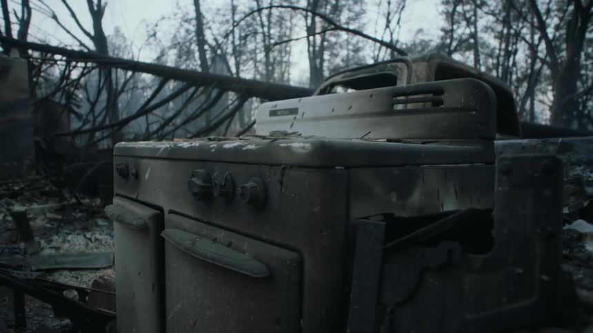 A stove covered in ash sits in a burned down forest
