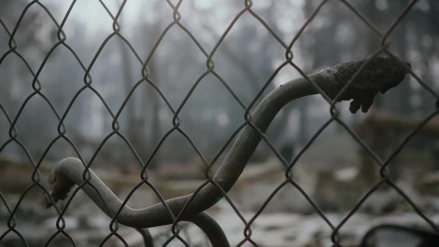 A winged insect flies around a bicycle attached to a chain link fence