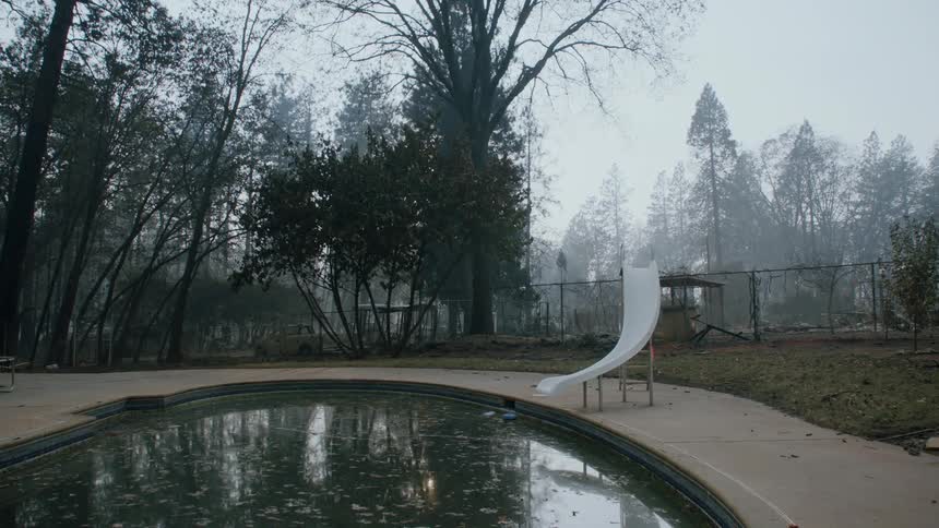 White slide next to a pool in the backyard of a house in the forest