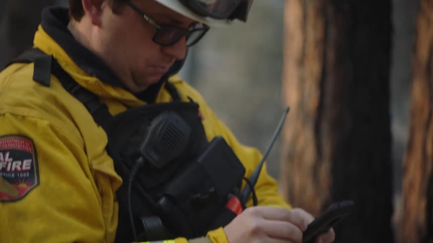 Firefighter stands outdoors near trees manipulating smartphone screen