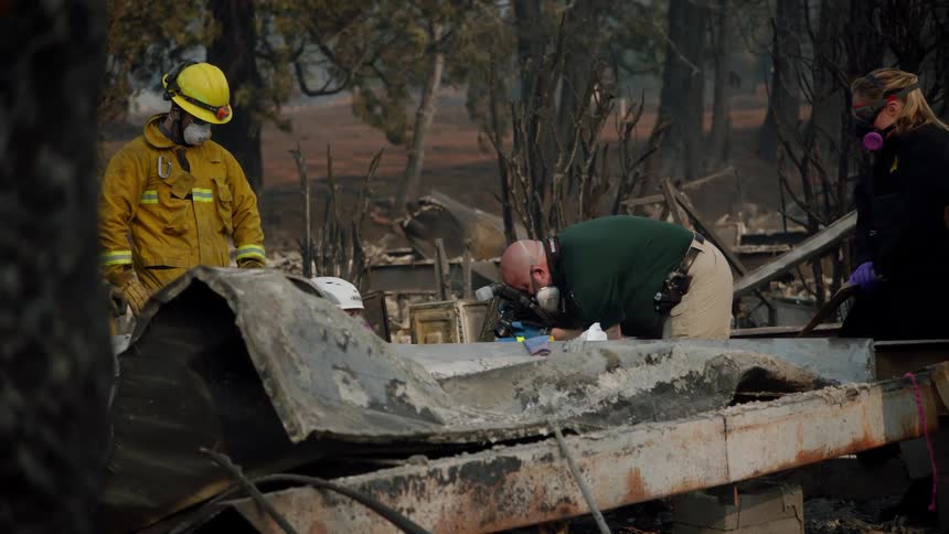 A group of firefighters and forensic experts search through the rubble and photograph the scene of a fire near a forest