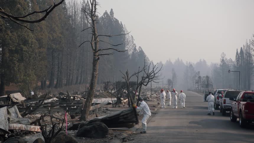 Workers wearing white clothes inspecting the remains of burned houses near a pine tree forest