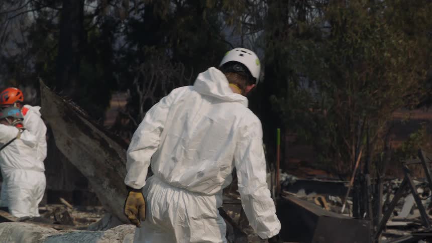 A froup of people appear to be working at a disaster site