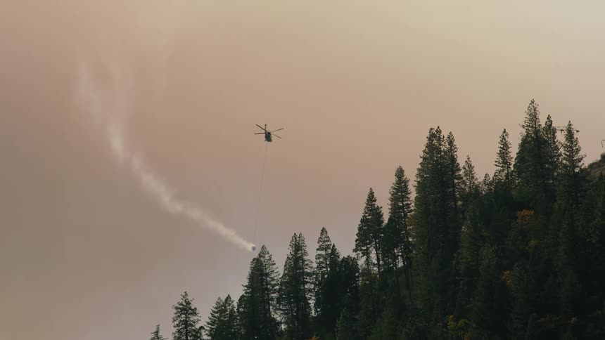 A helicopter spraying water over a dense forest