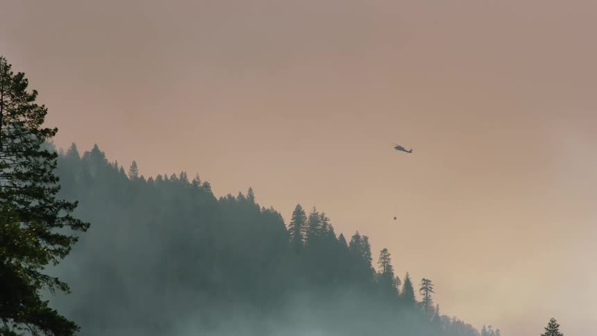 A helicopter hovering over a forest with a bucket hanging from a cable