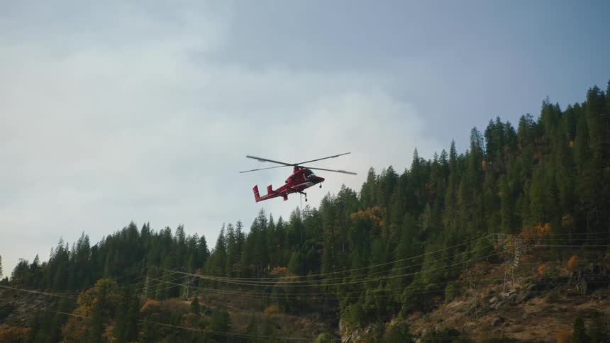 A helicopter flies in front of a forest