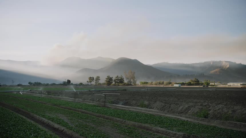 Crops in a farm are being watered at dusk
