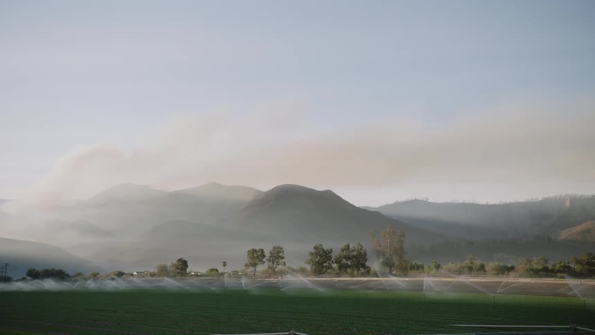Wildfires burning the forests on a mountain range covered in smoke at morning