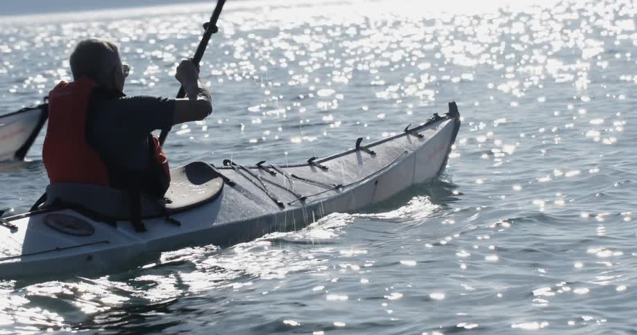 Two people kayaking on a sunny day