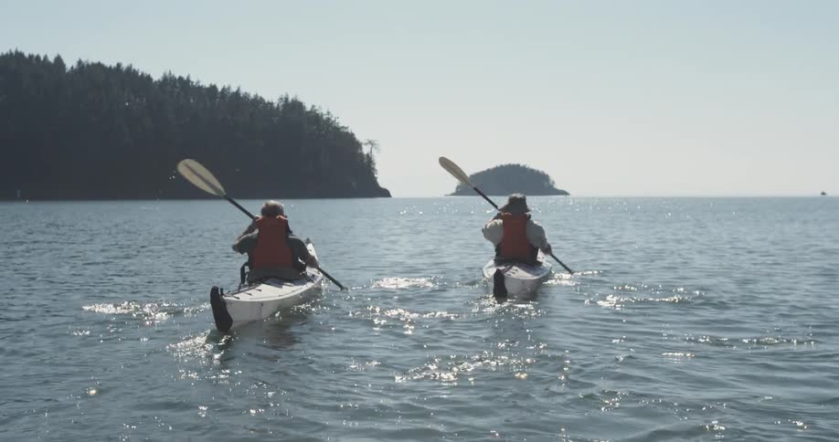 Two kayakers paddling in the water near a shoreline