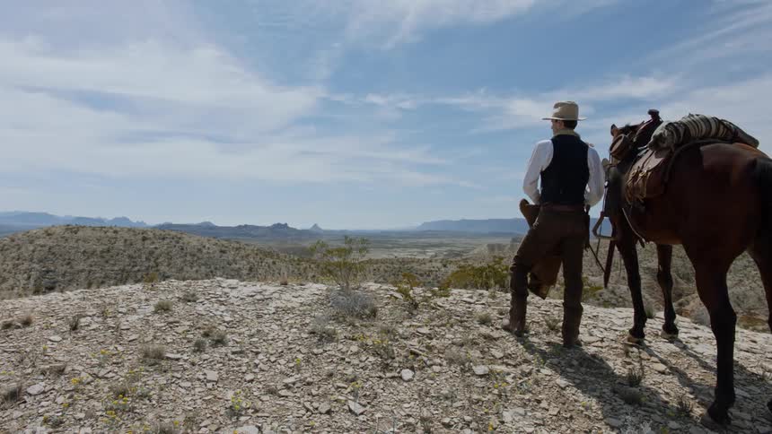 Cowboy looks over vast desert canyon