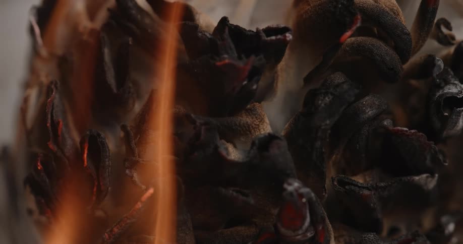 Extreme close up of fire consuming a pine cone