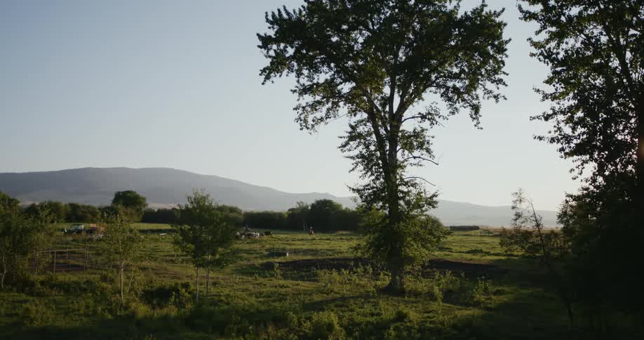 Horse riders herd animals across pasture with misty mountain on the horizon