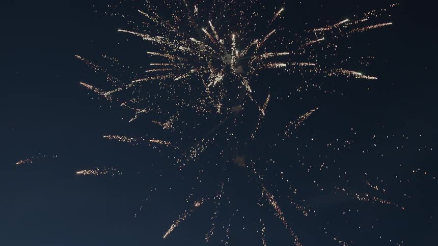 Colorful fireworks explode in the night sky
