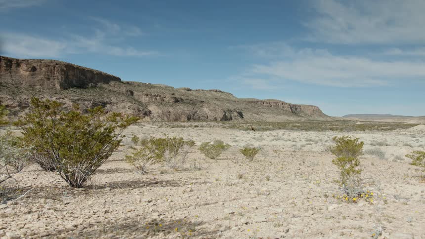 A desert plateau and mountains in the distance
