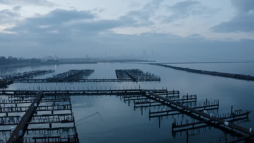 An aerial of an ocean marina and pier with a city on the horizon
