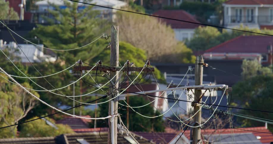 Small birds land on power lines in a neighborhood