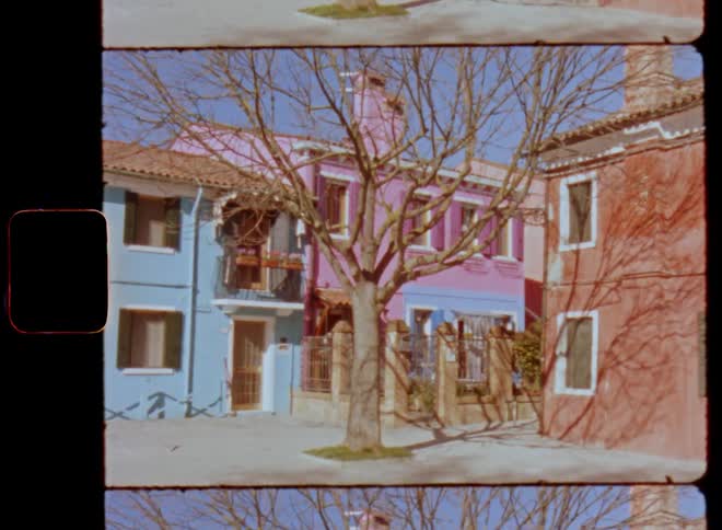 Approaching or walking towards a leafless tree standing on a town square surrounded by colorful houses and buildings on a sunny day with bright sun shine and vibrant blue sky