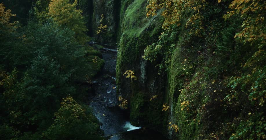 View of a river flowing down a canyon surrounded by green lush vegetation at daytime