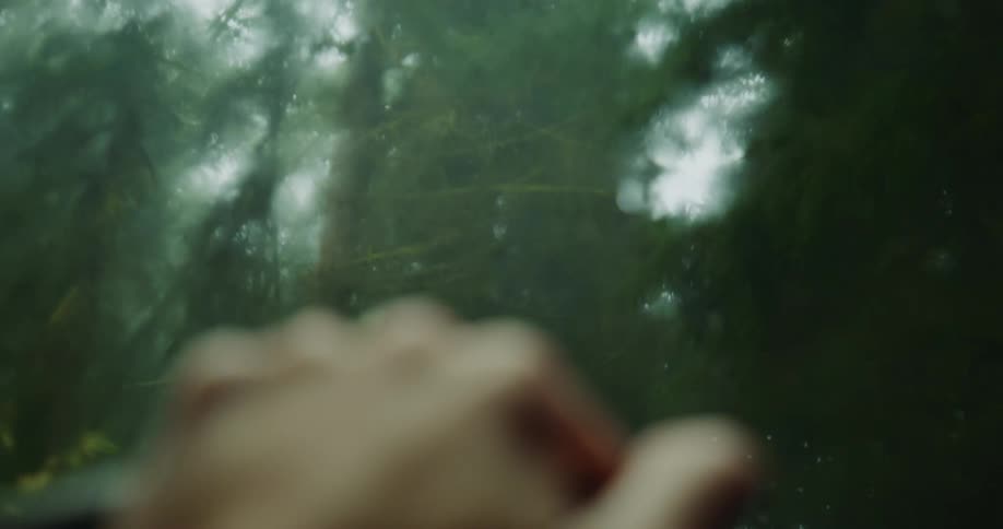 The drivers hand is on the steering wheel as they drive through the woods in the rain as the windshield wipers move across the windshield