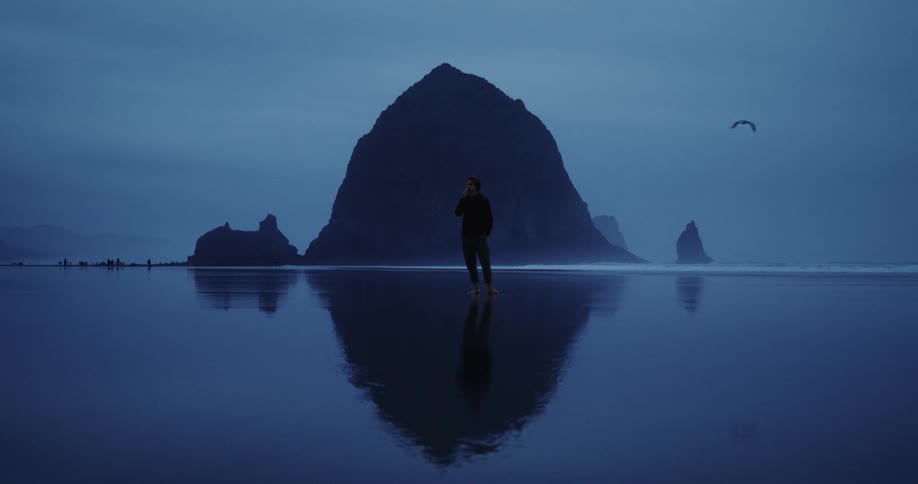 A man walking around on a beach with a large rock formation behind him and birds flying around