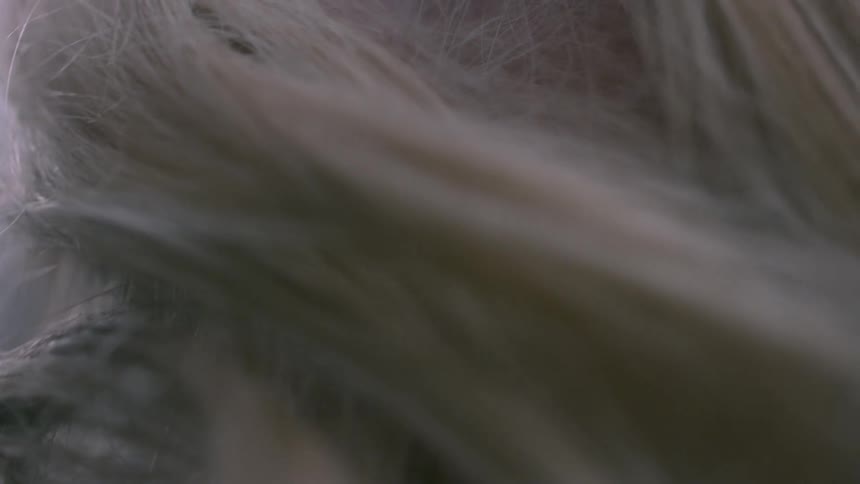 A close up of a woman's blonde hair