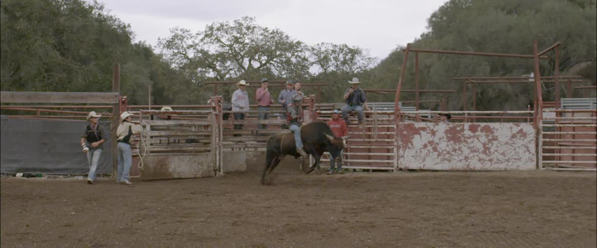 Man opens a gate and a man rides a bucking steer in a dirt ring