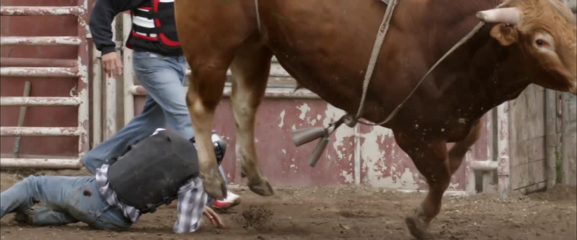 A bull rider is thrown off a bucking bull