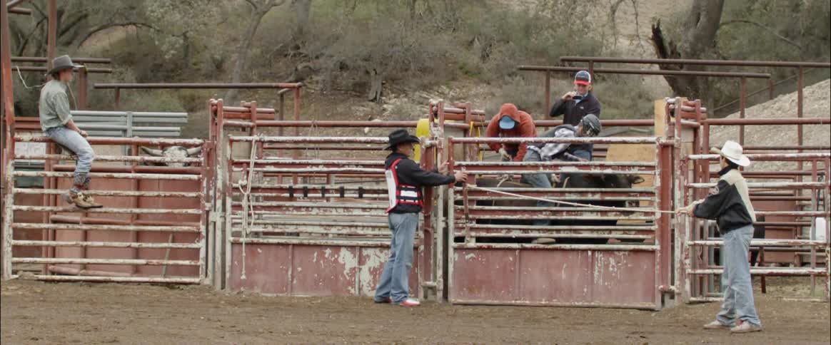 A bull rider waits for the gate to open
