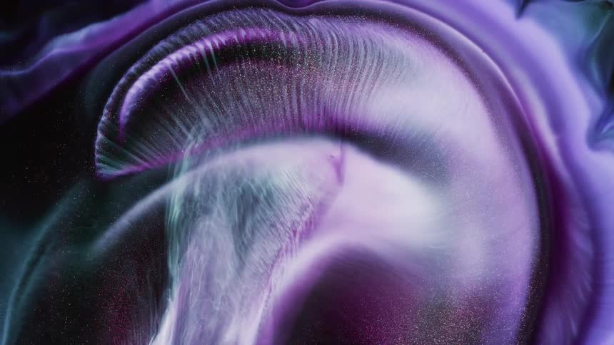 Purple and white abstract colors of art on a black screen