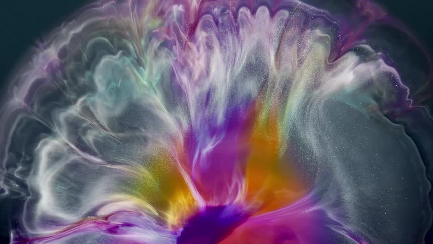 A multi colored floral formation expands into the night sky