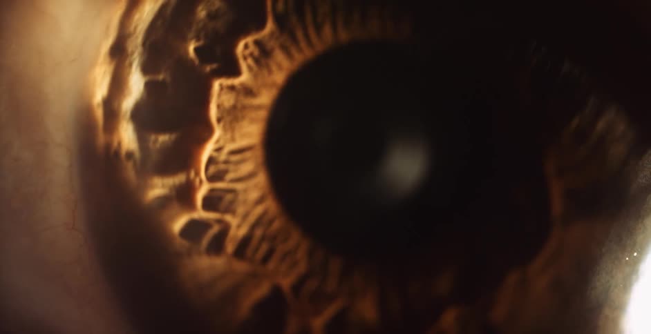 The pupil grows slightly