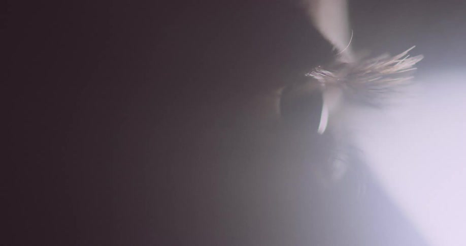 Person stares as bright light shines next to their eye