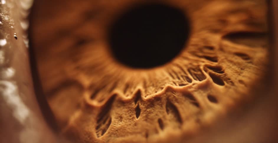 The pupil moves around