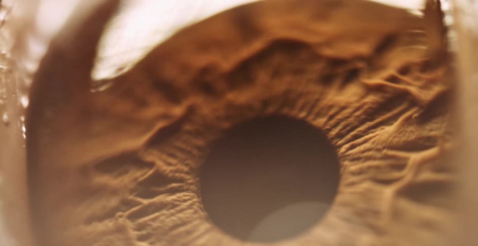 Extreme close up of the ridges and textures on the surface of a human iris reacting to light
