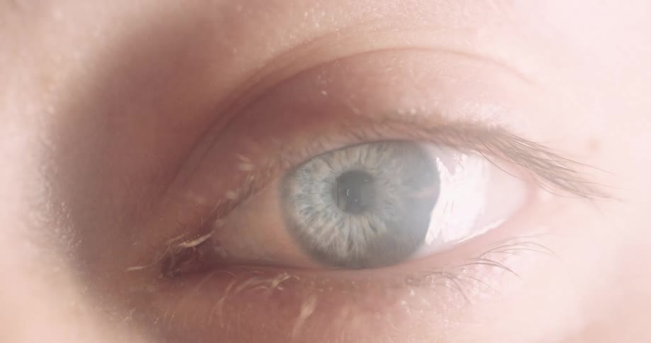 Pupil in eye shrinks and grows as light brightens then dims