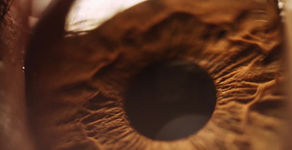 Extreme close up of the ridges and textures on the surface of a human iris reacting to light