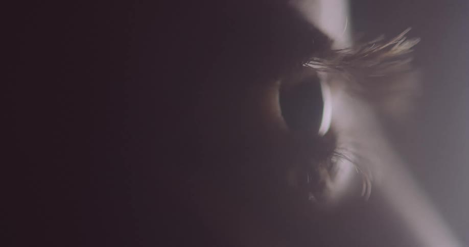 Extreme closeup of eyeball with enlarged pupil that is focusing on something