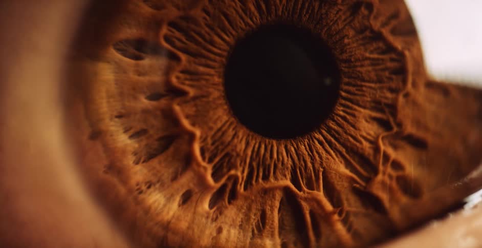 A brown eyeball is magnified