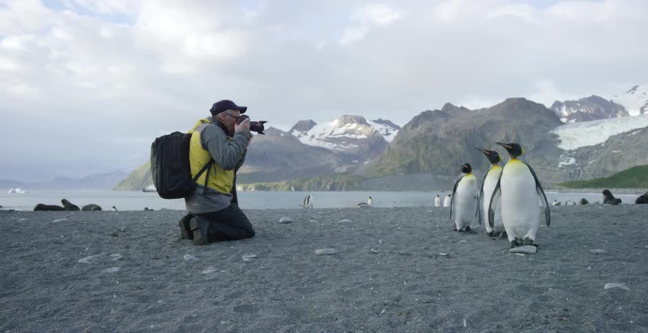 A man takes photographs of penguins