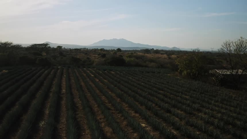 An aerial view of a rural grassland farm with freshly tilled soil and growing crops