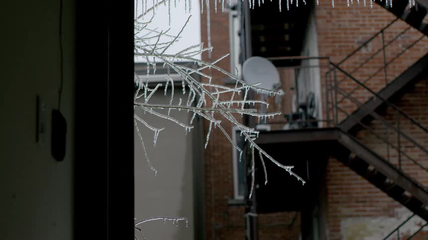 A silhouette of a person walking out of their house as water drips off ice on the tree outside the door