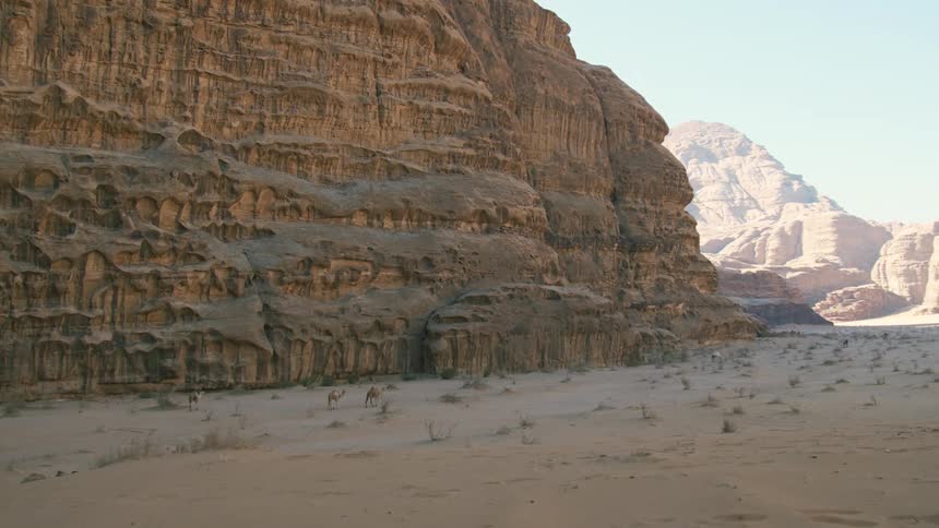 Two camels move across the sandy desert near big rocky outcroppings