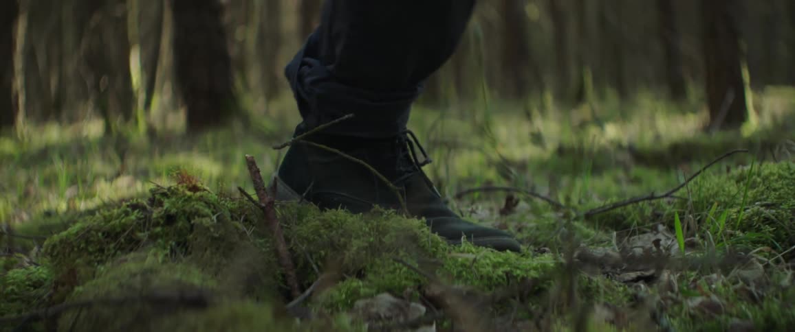 Man walks in the forest