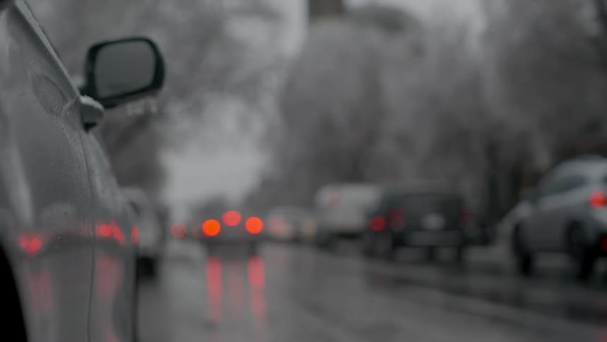 Cars drive by on a rainy urban street with leafy trees in the background