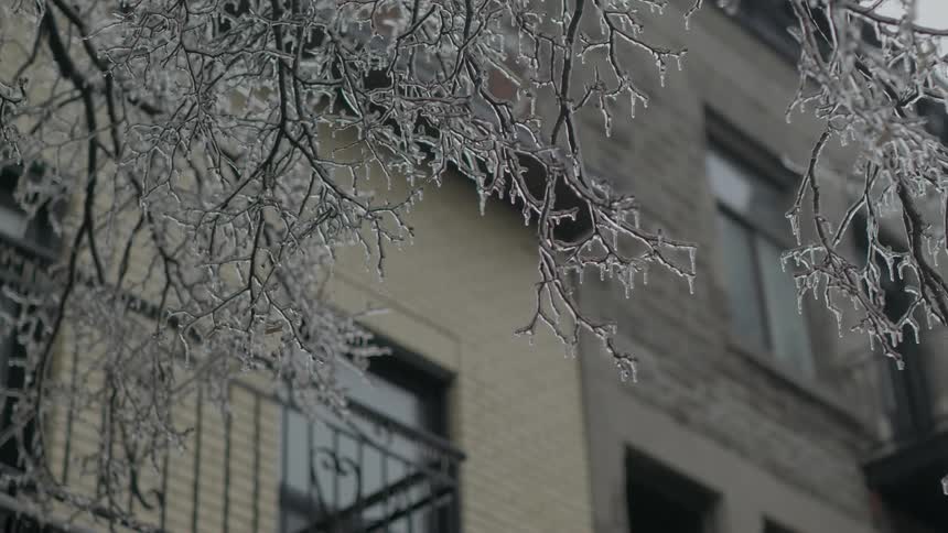 The view is of the outdoors around the winter time