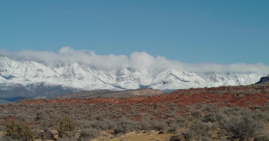 Desert foliage overlooking snowcapped mountains in the distance